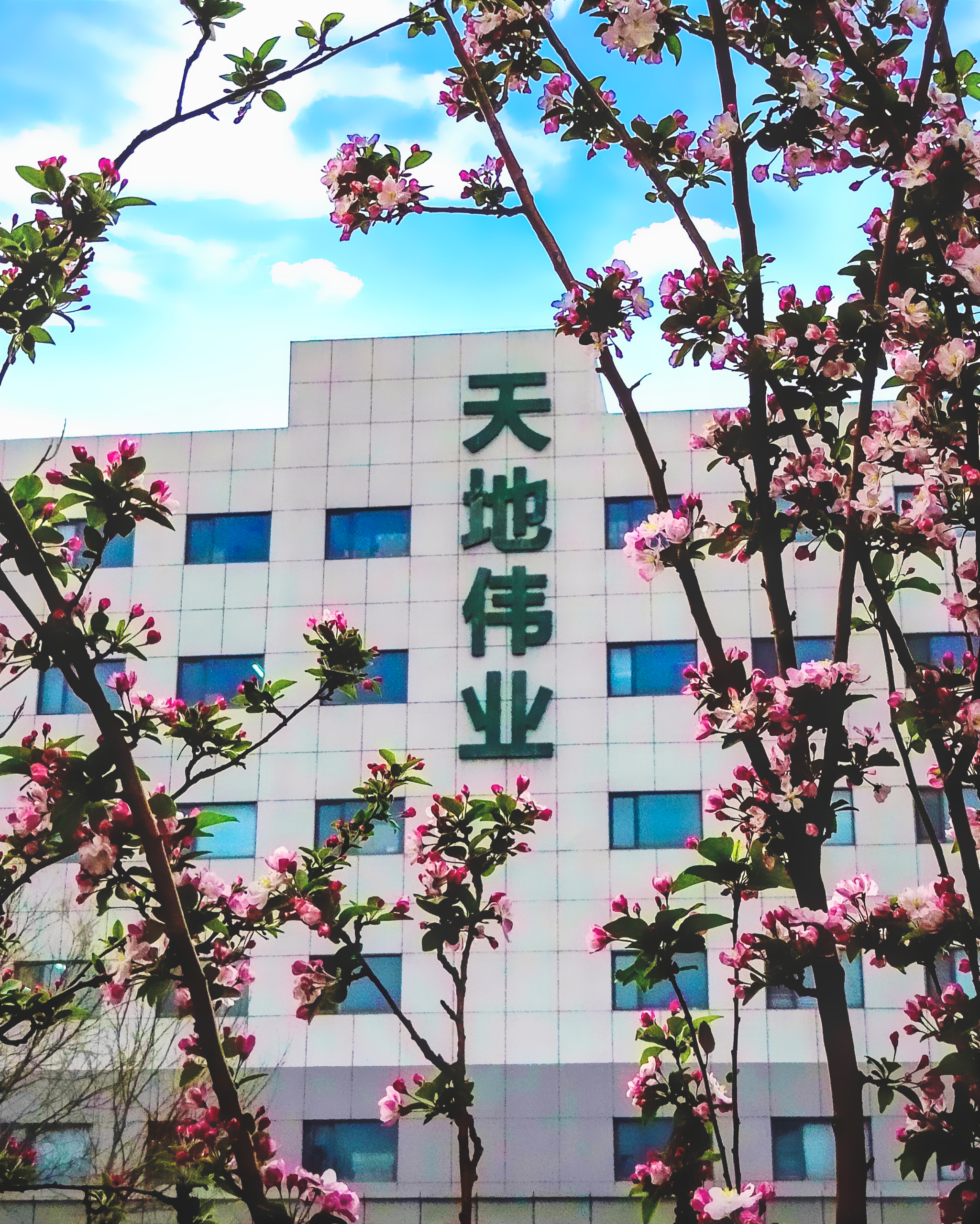 海洋之神·hy590(中国)最新官方网站